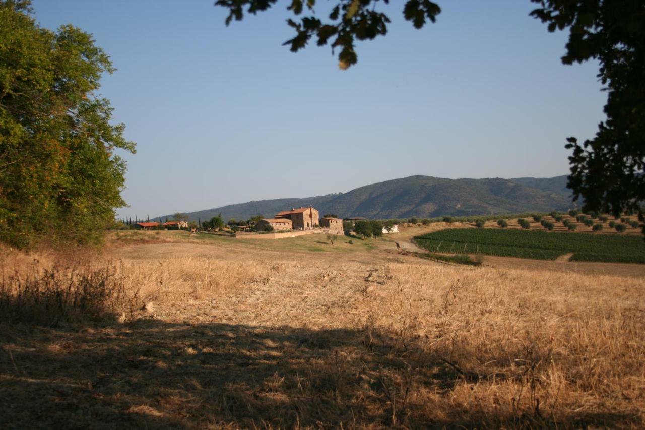 Agriturismo Podere Del Vescovo Montenero d'Orcia Exteriér fotografie