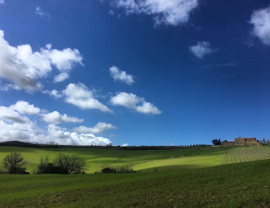 Agriturismo Podere Del Vescovo Montenero d'Orcia Exteriér fotografie